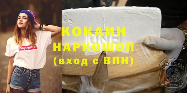 ПСИЛОЦИБИНОВЫЕ ГРИБЫ Михайлов