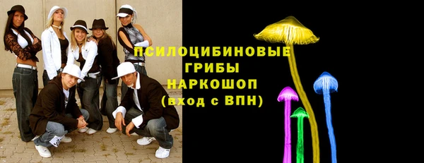 ПСИЛОЦИБИНОВЫЕ ГРИБЫ Михайлов