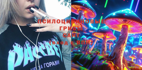 ПСИЛОЦИБИНОВЫЕ ГРИБЫ Михайлов