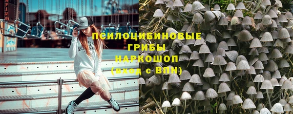 ПСИЛОЦИБИНОВЫЕ ГРИБЫ Михайлов
