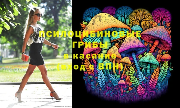 ПСИЛОЦИБИНОВЫЕ ГРИБЫ Михайлов