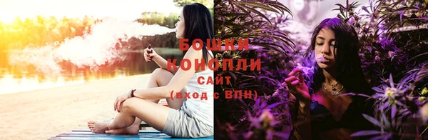 ПСИЛОЦИБИНОВЫЕ ГРИБЫ Михайлов